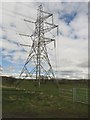 NZ1298 : Power line crossing farmland at Brinkheugh by Graham Robson