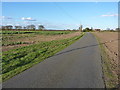 Cuthedge Lane with Hylands beyond