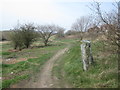 Old stone gatepost by the footpath at Stand Hill