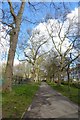 Path along Highbury Grove