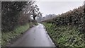 Church Lane - Ropley