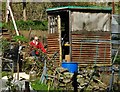 Allotment tenant by his shed at Hanging Water