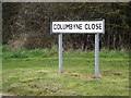 Columbyne Close sign