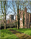 SK5839 : Sneinton: in Green's Mill Park by John Sutton