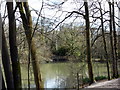 Fish Pond, Nymans Wood