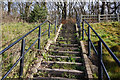 Steps leading up to Canklow Woods