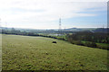 Trans Pennine Trail towards Catcliffe