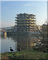 Development of Trent Basin