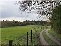 TQ1050 : Track near Dunley Hill Farm by Stefan Czapski