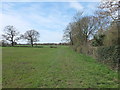 Footpath from Towngate to Syd Brook Lane