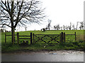 TM1353 : Footpath to Bull's Road by Geographer