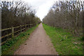 Path at Shire Brook Valley