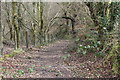 Sirhowy Valley Walk below Argoed fawr