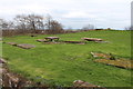 Old Graveyard, Ardrossan