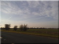 Fields by New Dover Road, Capel-le-Ferne