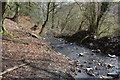 Nant Grwhay below Grwhay