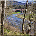 The River Tweed at Lowood