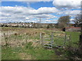 Footpath behind the houses in Penybryn