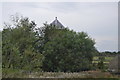 Disused windmill hiding in trees