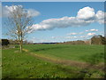 Fields behind Rose Cottages