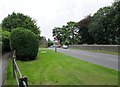 Ashopton  Road  into  Bamford