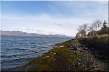 NM9249 : Shore of Loch Linnhe by DS Pugh