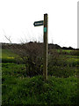 Bridleway sign off The Hollows