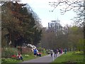 ST1776 : Springtime in Bute Park, Cardiff by Robin Drayton