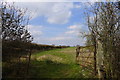 Restricted byway leading off from the A52