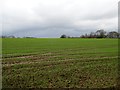 Field adjacent to A285