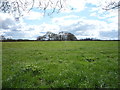 Grazing near Trusley Brook Farm