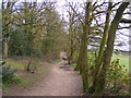 SO8788 : Ridgehill Wood Footpath by Gordon Griffiths