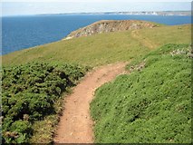 SX6739 : Coast path approaching Bolt Tail by Philip Halling