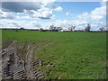 Farmland towards Gorsty Fields