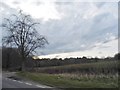 Fields by Goldbridge Road near Maresfield