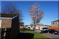 Viceroy Close off Bridlington Avenue, Hull