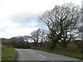 The bridge at Youldon