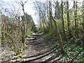 NT2763 : Railway trackbed, Roslin by Richard Webb