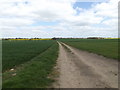 TM1257 : Footpath to Green Lane Farm by Geographer