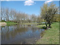 Lake at Crossway Park