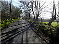 Shadows along Gorticashel Road