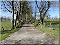 Concrete lane, Garvagh