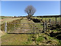 Gate, Garvagh