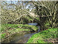 NU0611 : Confluence of River Aln and Callaly Burn by Les Hull