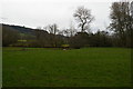 View down the Otter valley at Upottery