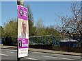 J3176 : Assembly election poster, Crumlin Road, Belfast - April 2016(3) by Albert Bridge