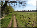 The North Downs Way near Moor Park