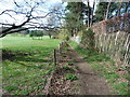 The North Downs Way near Binton Cottage