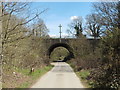 The North Downs Way under the A3 near Compton