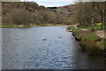 SO2106 : Lower lake, Cwmtillery - spring by M J Roscoe
